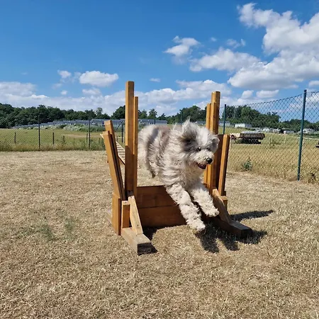 Ostseeferienpark Walkyrien - Offizier 14 Dom wakacyjny